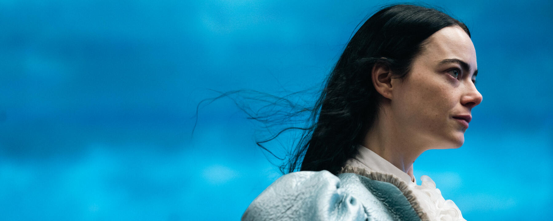 SHAKESPEARE'S BIRTHPLACE